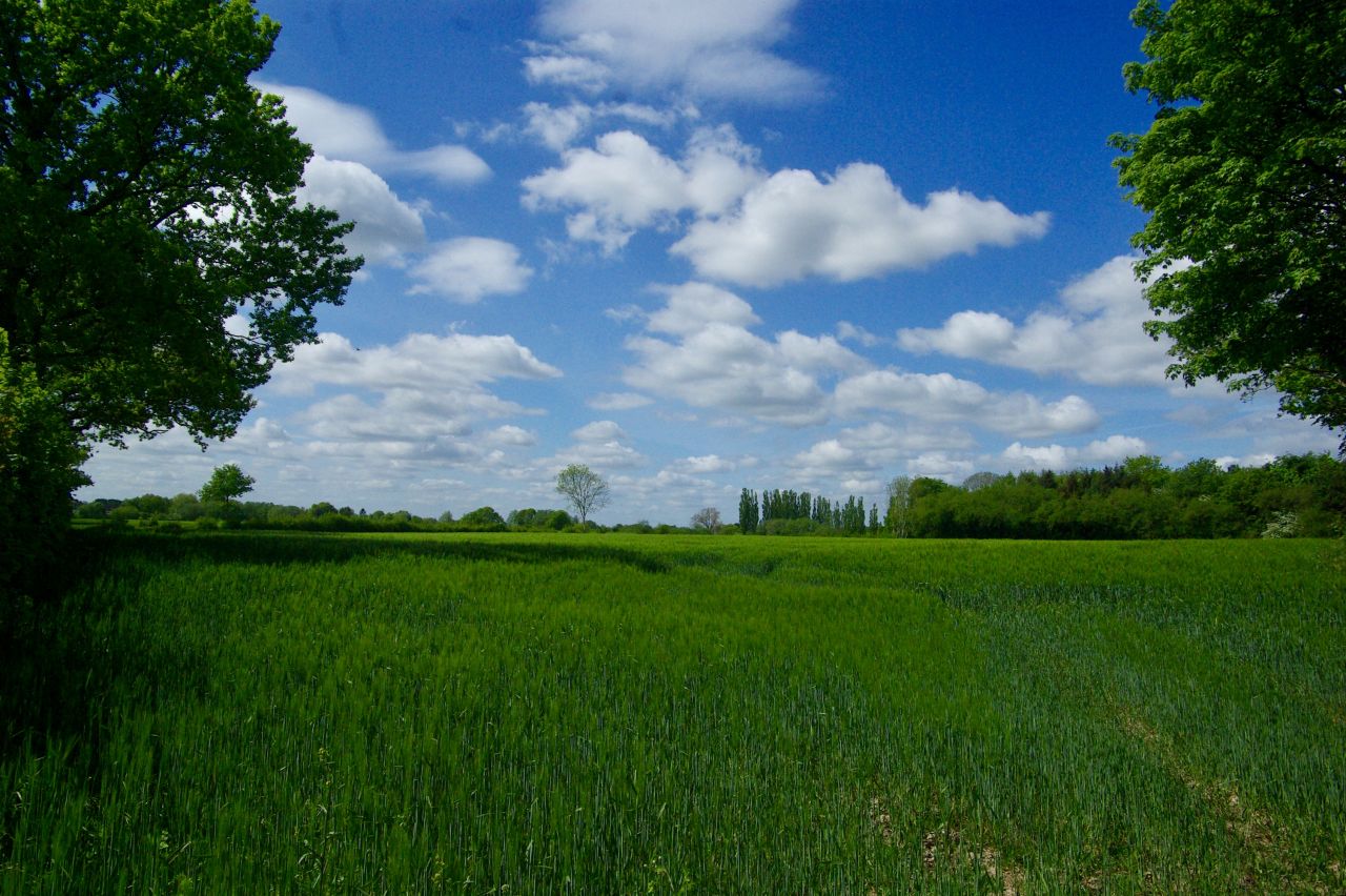 Natur direkt vor der Tür